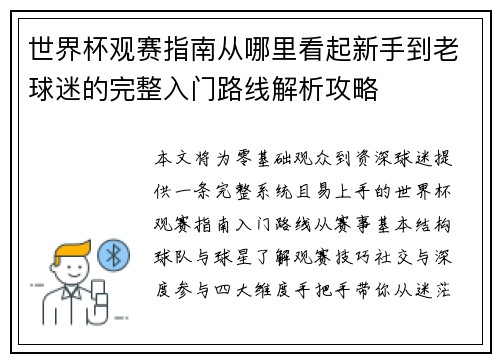 世界杯观赛指南从哪里看起新手到老球迷的完整入门路线解析攻略